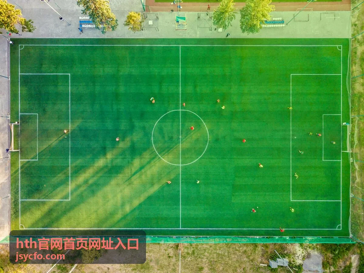 hth官网首页网址入口 移动端访问场景配图